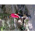 Reinhard Wanderpartner aus Falkensee