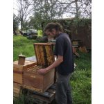 Daniel Wanderpartner aus Dommitzsch